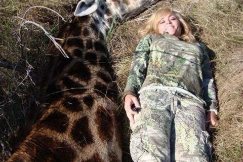 zsirafgyilkos(960x640).jpg (zsiráfgyilkos)