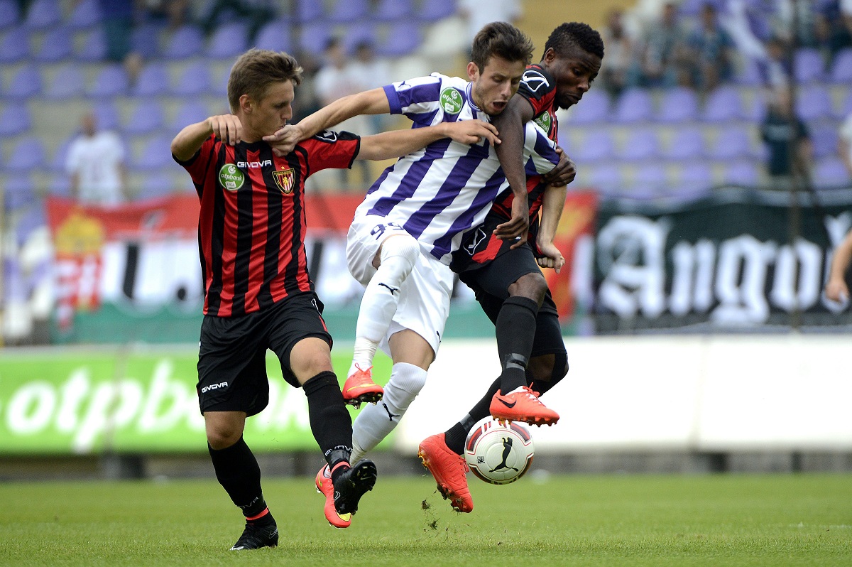 Asmir Suljic (Array)