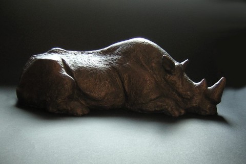 Bronz orrszarvú (Array)