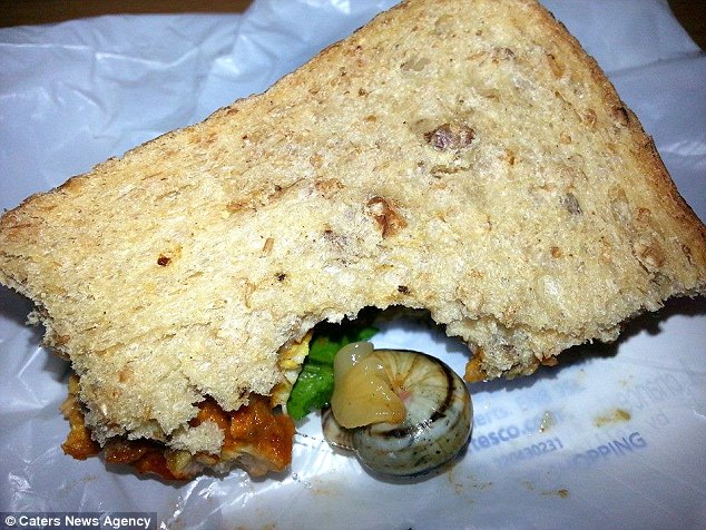Csigás szendvics (Array)