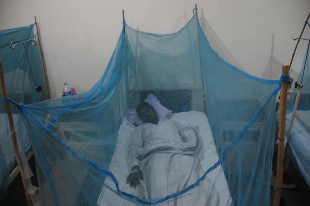 Dengue-lázas beteg (Array)