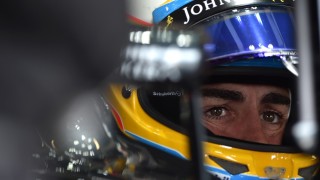 Fernando Alonso (Array)