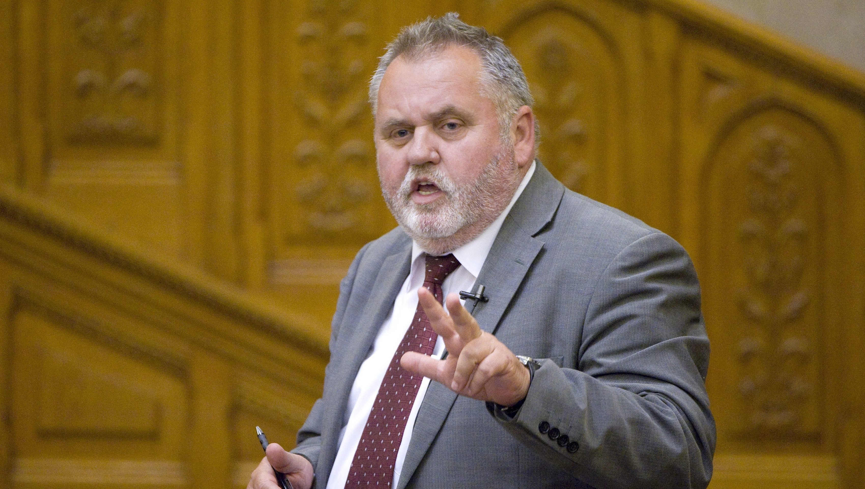 Gogos-Zoltan(960x640).jpg (Array)