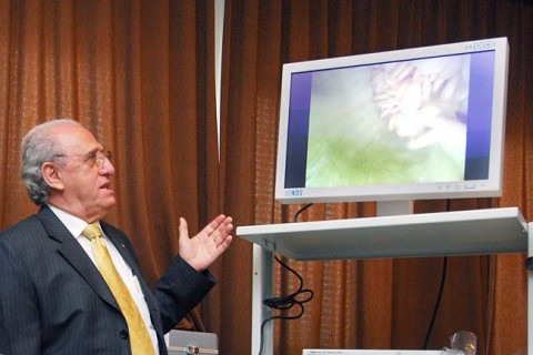 Gyermekrák Alapítvány  (Array)