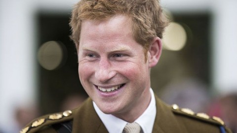 Harry herceg (Array)