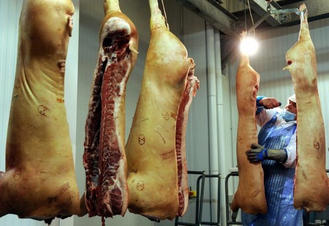 Husuzem(1)(960x640).jpg (Array)