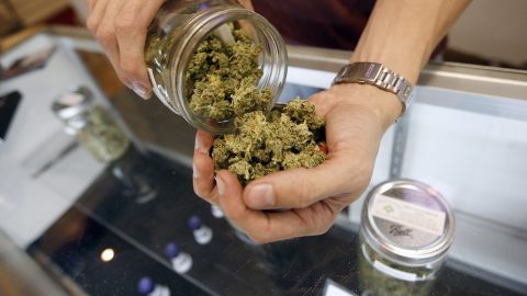 Marihuána bolt (Array)