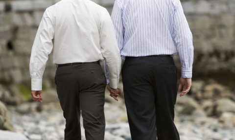 Melegházasság (Array)