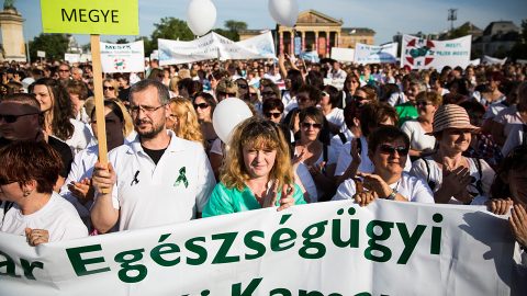 Méltó körülményért tüntettek az egészségügyi dolgozók (Array)