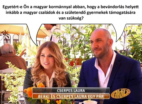 Nemzeti Konzultáció (Array)