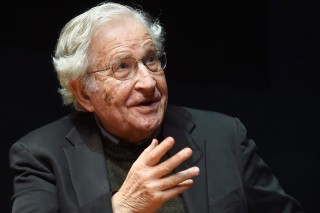 Noam Chomsky (Array)