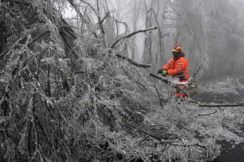 Onos-eso(650x433).jpg (Array)