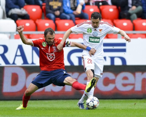 Sándor György (Array)