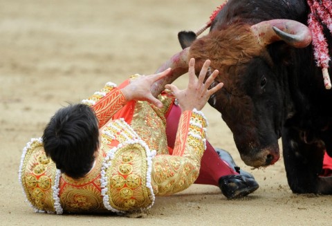 Saul Jimenez Fortes (Array)
