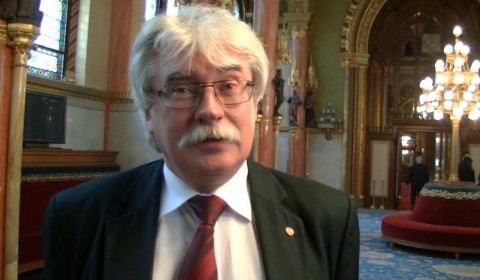 Szakály Sándor professzor (Array)