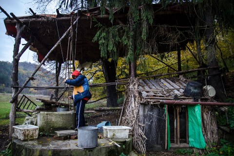 Szegénység (Array)