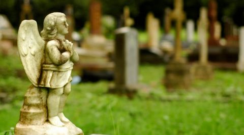 Temeto(430x286).jpg (Array)