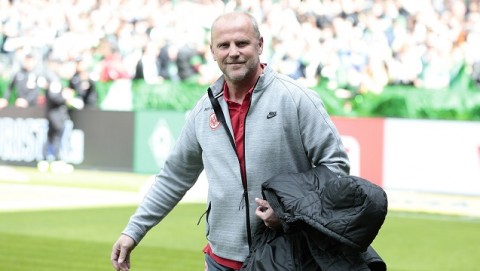 Thomas Schaaf (Array)