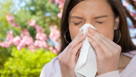 allergia(430x286)(1).jpg (Array)