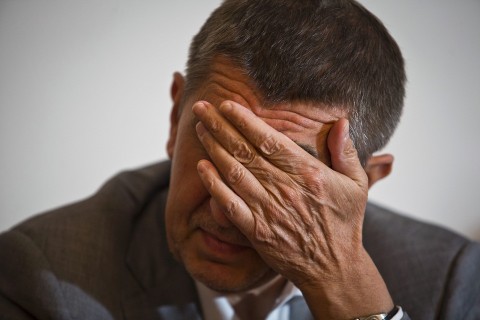 cseh kormány (Array)