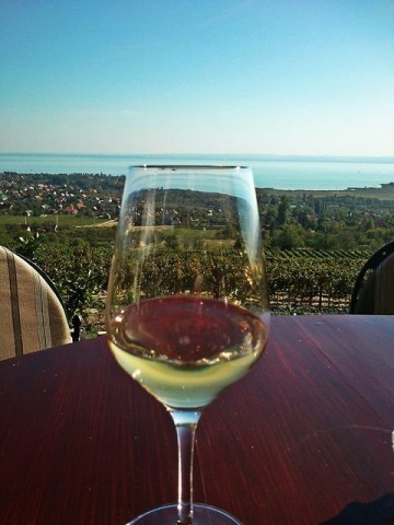 csopak(1)(430x286)(2).jpg (csopak, szent donát, bor, )