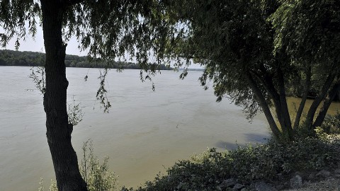 duna áradás (Array)