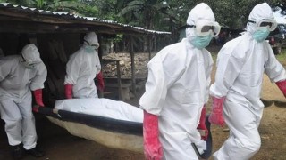 ebola(1)(960x640).jpg (Array)