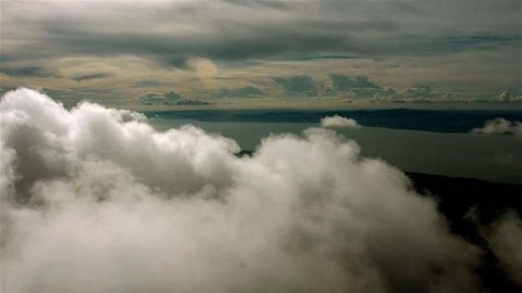 esofelho(7)(960x640).jpg (Array)