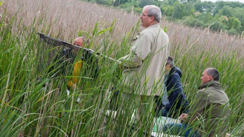 fazekas sándor (Array)