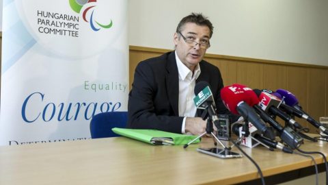 gömöri zsolt (Array)