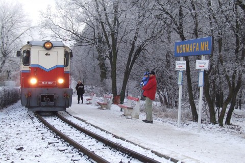 gyermekvasut(960x640).jpg (Array)