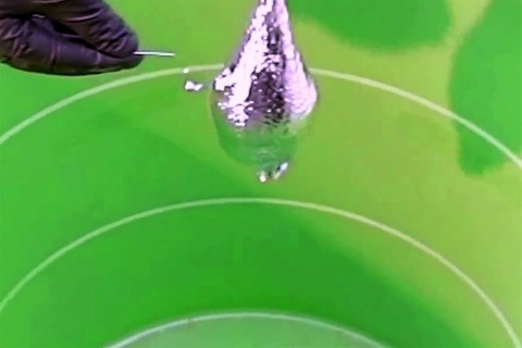 higanycsep(960x640).jpg (Array)