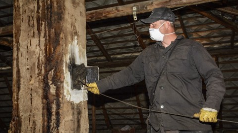 kemenysepro(210x140).jpg (Array)