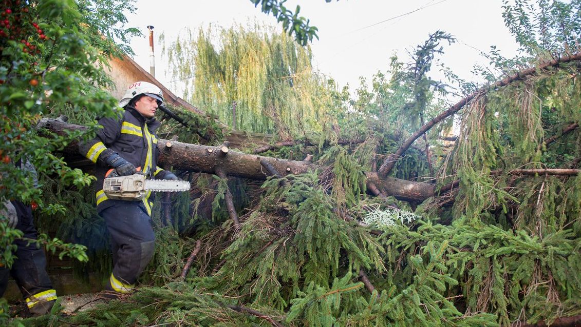 kidolt-fak-Oroshazan(430x286).jpg (Array)