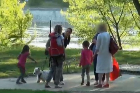 kutyás kísérlet (Array)