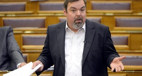 l(960x640).jpg (Array)