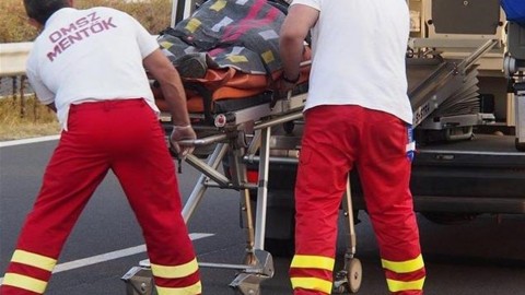 mentok(3)(960x640).jpg (Array)