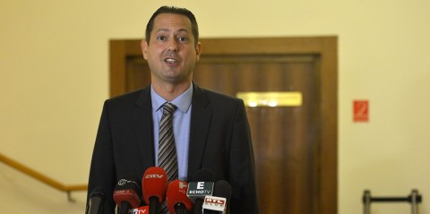 molnár zsolt (Array)