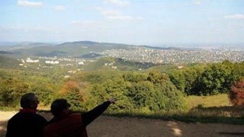 normafa(650x433).jpg (Array)