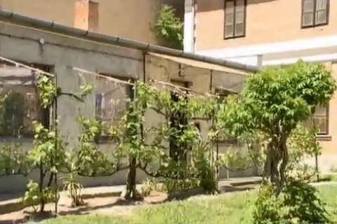 pécsi lakás (Array)