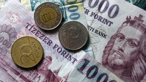 penz-forint-euro-frank-deviza-penzugy-gazdasag(6)(210x140).jpg (Array)