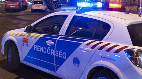 rendorauto(210x140).jpg (Array)