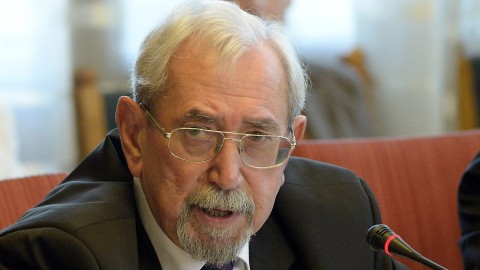 rubovszky györgy (Array)