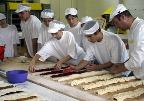 szakkepzes(210x140).jpg (Array)