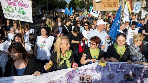 szociális ágazat tüntetése (Array)