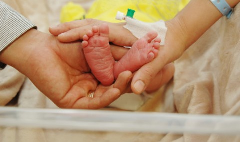 ujszulott(210x140).jpg (Array)