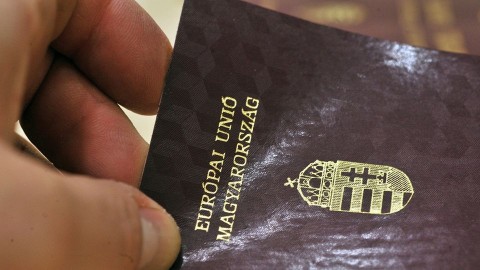 utlevel(960x640).jpg (Array)