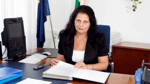 vida ildikó (Array)