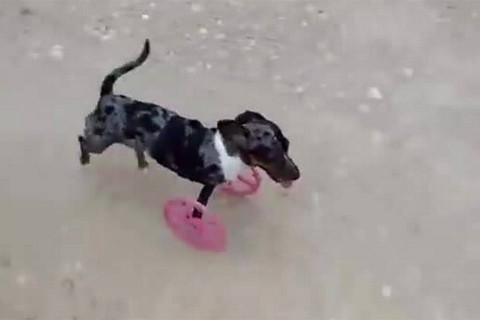 3D nyomtatott kerekek (Array)