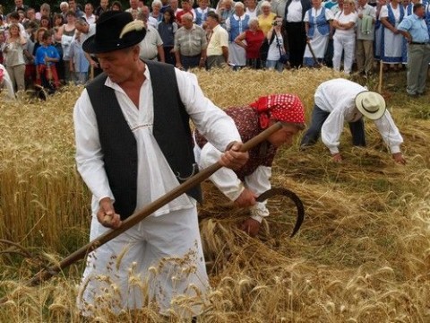 Aratófesztivál (Array)